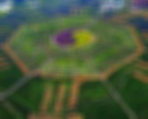 小黄车共享单车到底会不会黄？