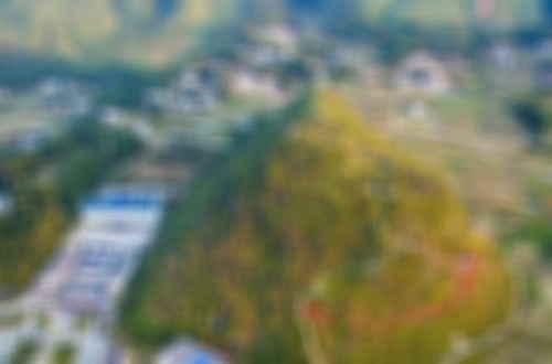 风水勘察现场展示风采 